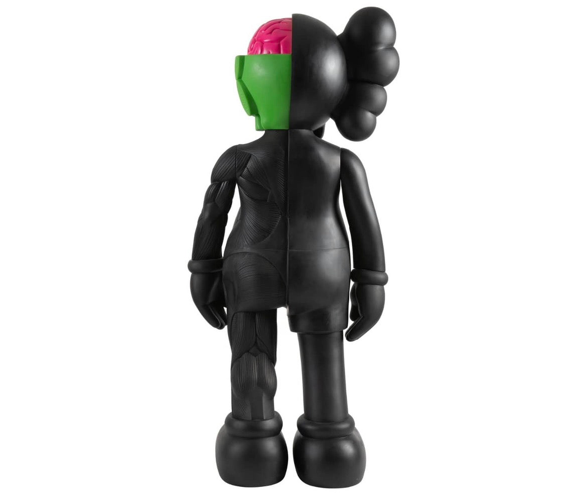 Kaws Dissected companion