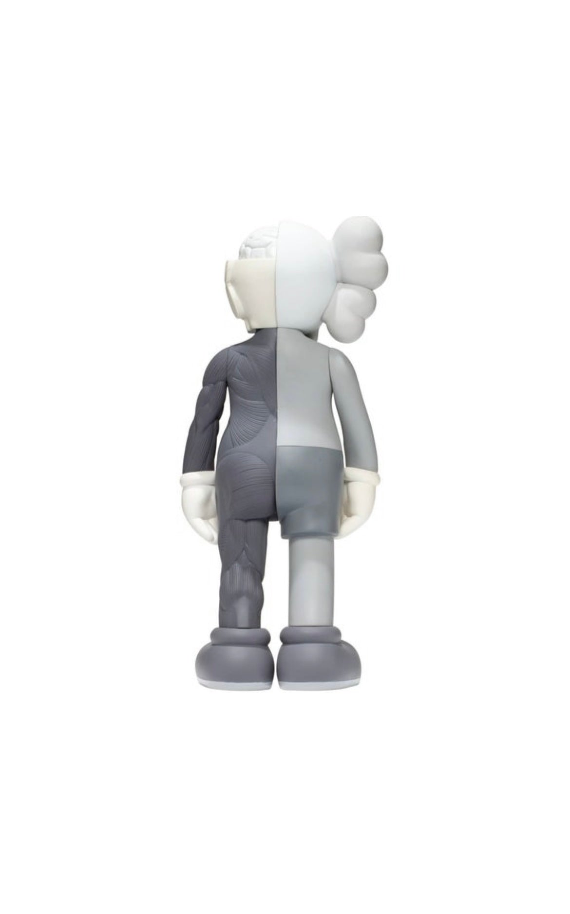 Kaws Dissected companion