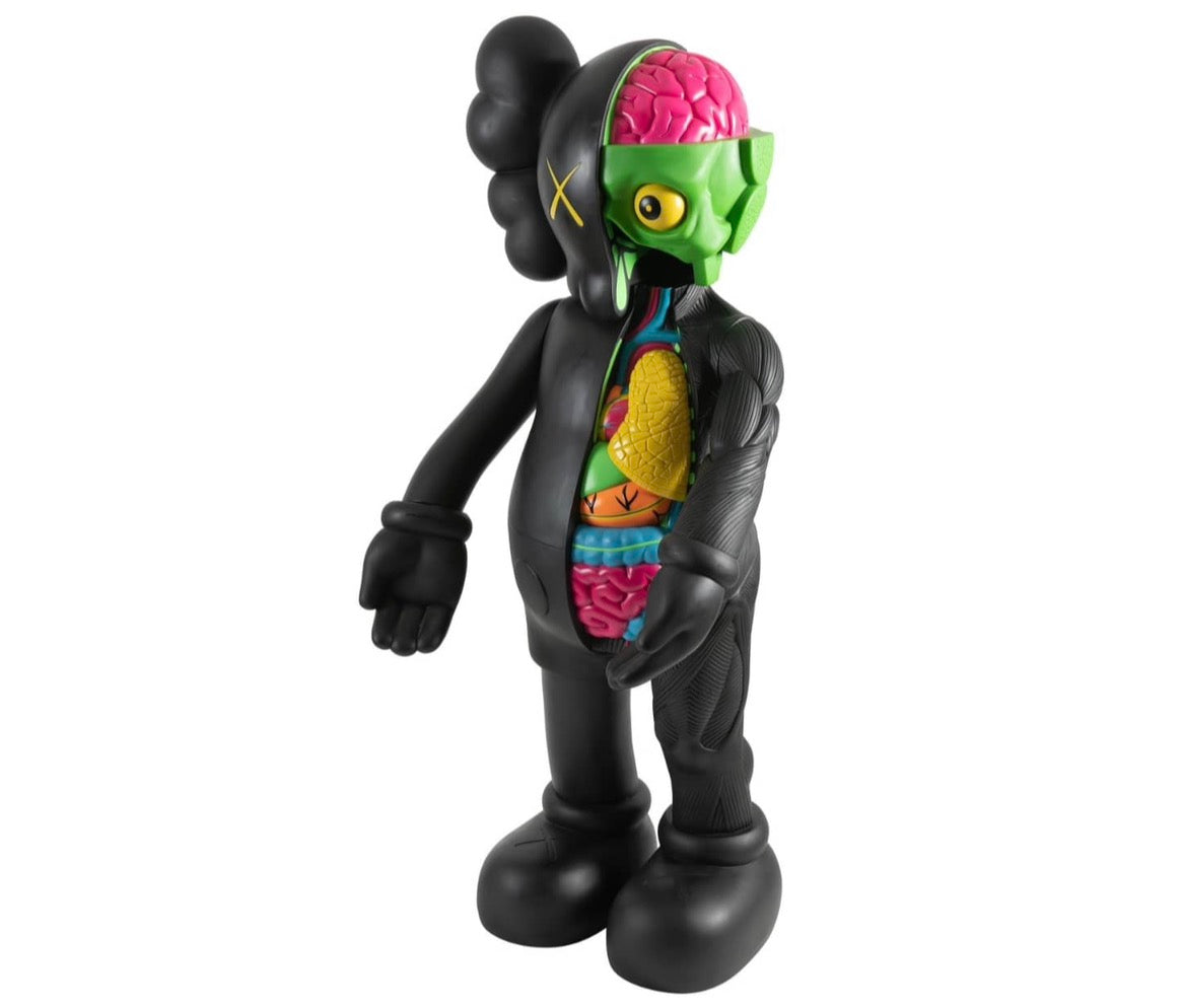 Kaws Dissected companion