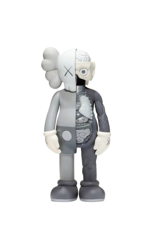 Kaws Dissected companion