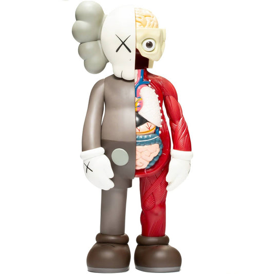 Kaws Dissected companion