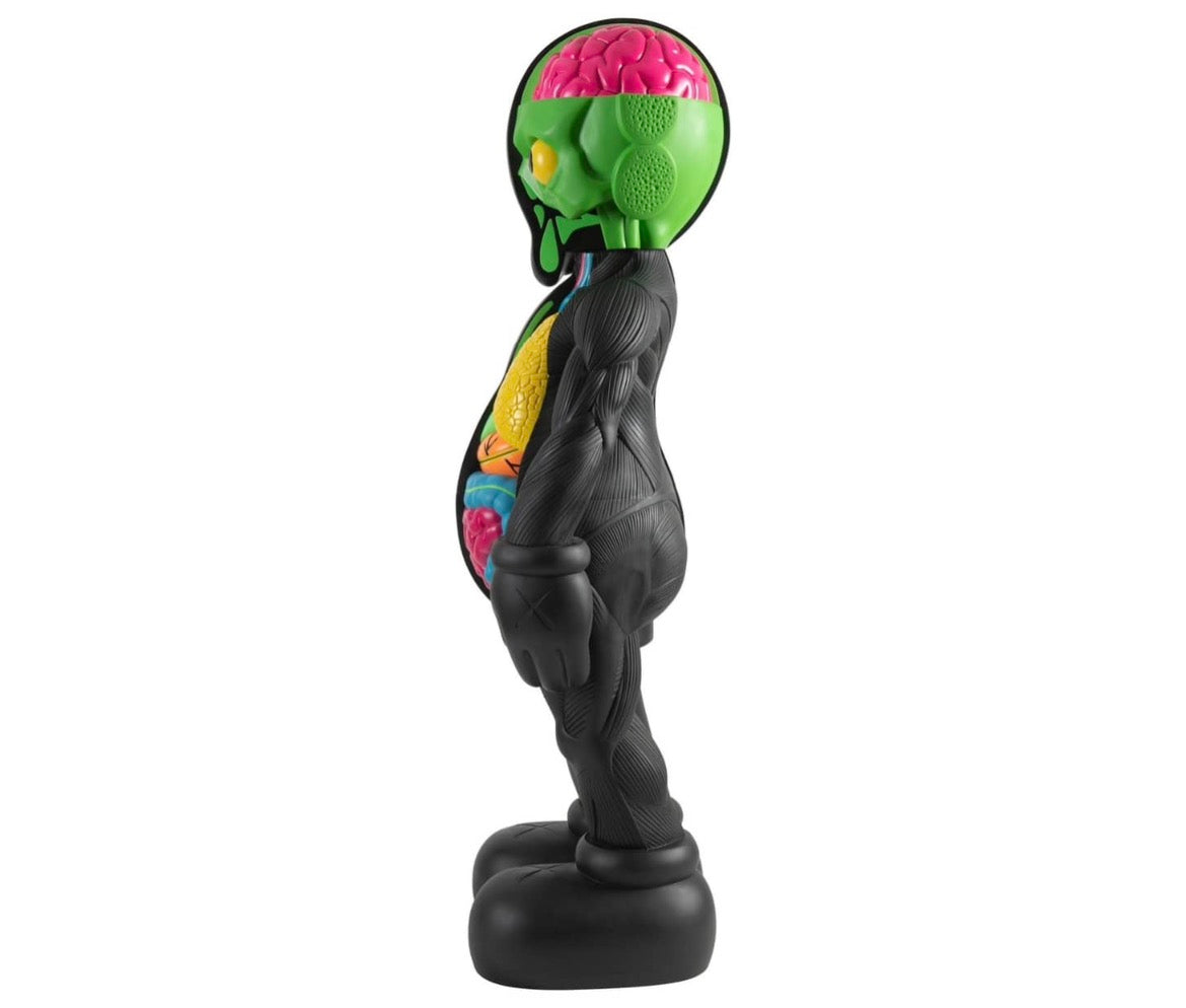 Kaws Dissected companion